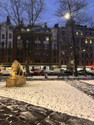 The bear statue 5 