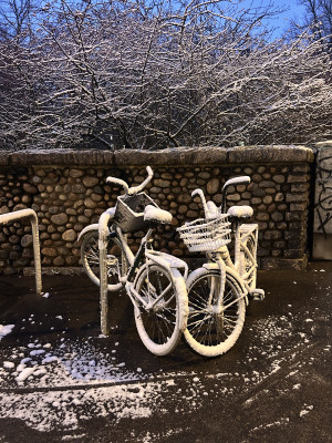 Bikes in snow near Karhupuisto